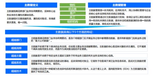 如何通過主數(shù)據(jù)管理開啟數(shù)據(jù)治理